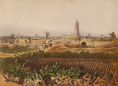 Luoghi menzionati nella Bibbia: Gaza, la città vecchia da English School