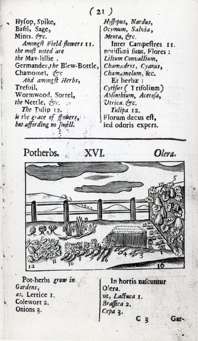 Agricoltura dal 
