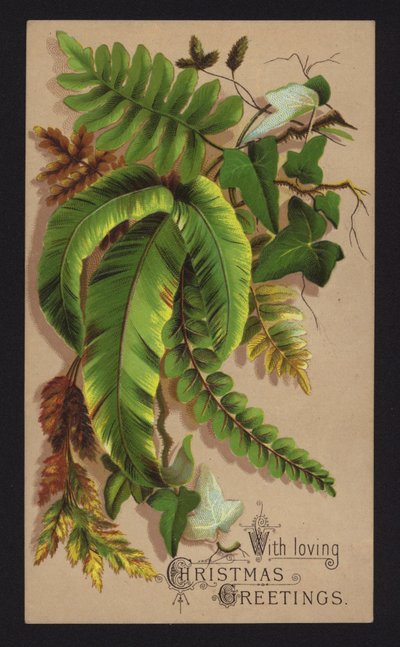 Foglie di piante, cartolina di auguri di Natale, fine XIX o inizio XX secolo da English School