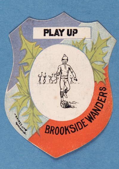 Gioca su Brookside Wanderers da English School