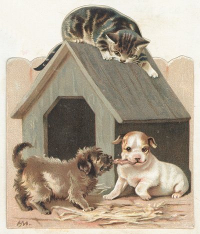 Cuccioli giocosi e gattino da English School