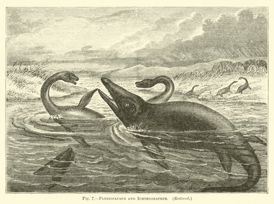 Plesiosauro e ittiosauro da English School