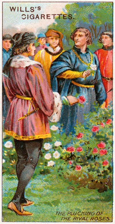 La raccolta delle rose rivali da English School