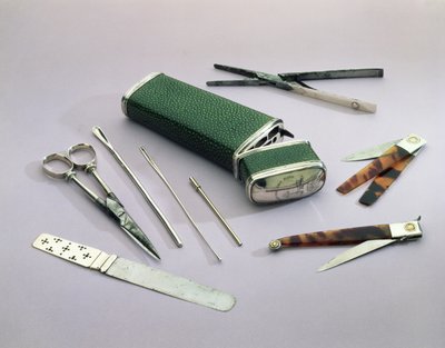 Etui da tasca, contenente strumenti chirurgici per operazioni minori (shagreen, argento, acciaio e guscio di tartaruga) da English School