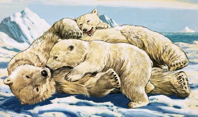 Orso polare e cuccioli (gouache su carta) da English School