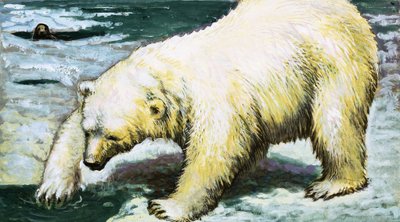 Orso polare che pesca da English School