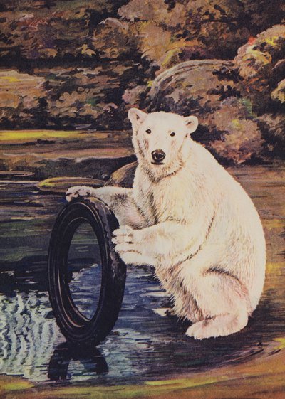 Orso polare che gioca con un pneumatico allo zoo da English School