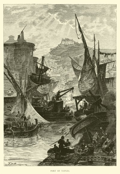 Porto di Napoli da English School