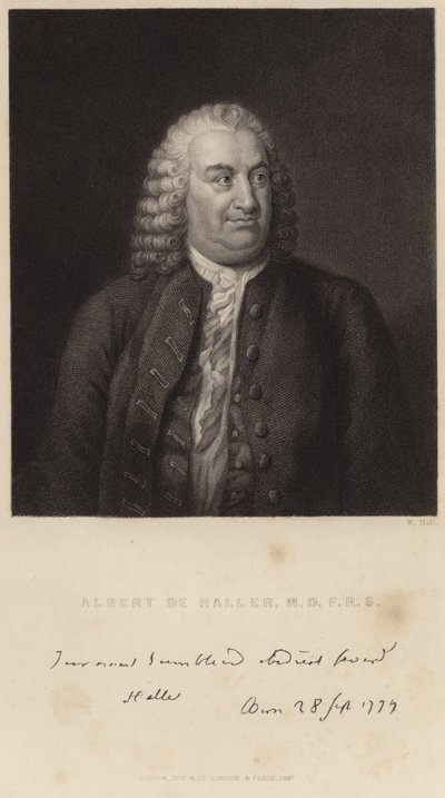 Ritratto di Albert de Haller da English School
