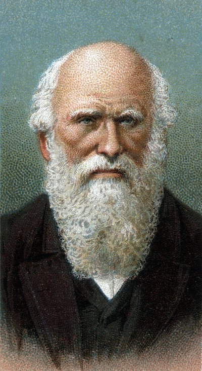 Ritratto di Charles Robert Darwin (1809-1882) - Dalla serie "Leaders of Men" da English School