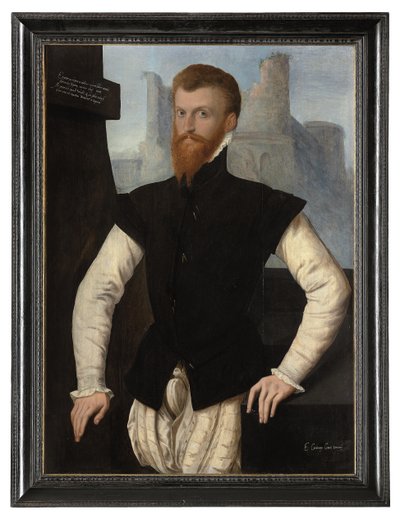 Ritratto di Edward Courtenay, 1° Conte di Devon, c.1555 da English School