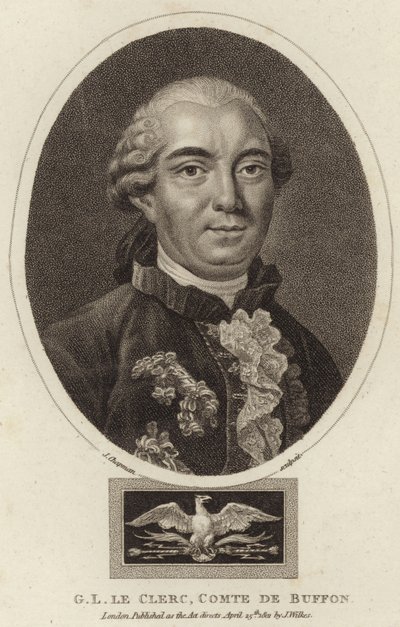 Ritratto di Georges-Louis Leclerc, Conte di Buffon da English School