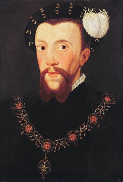 Ritratto di Henry Howard, 1546 da English School