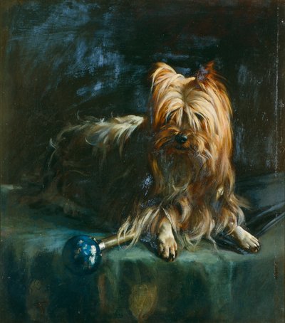 Ritratto di Jim; un Yorkshire Terrier da English School