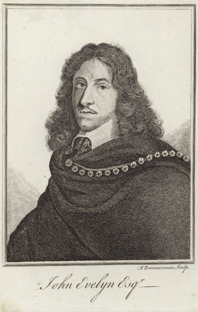 Ritratto di John Evelyn da English School
