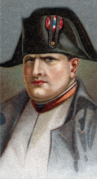 Ritratto di Napoleone Bonaparte - Dalla serie 