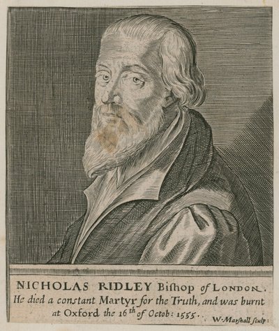 Ritratto di Nicholas Ridley da English School