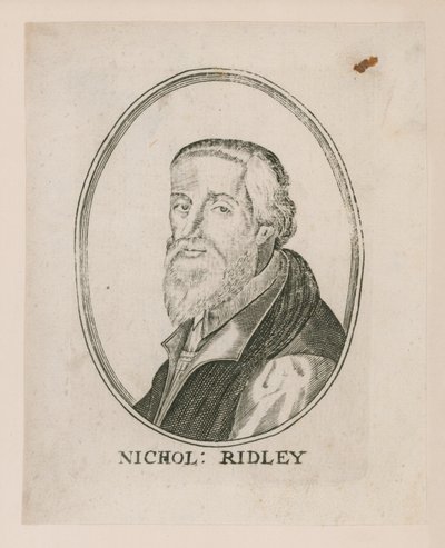 Ritratto di Nicholas Ridley da English School