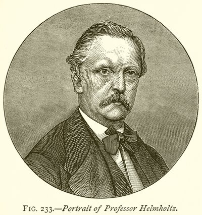 Ritratto del Professor Helmholtz da English School