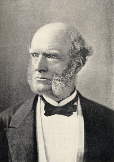 Ritratto di Thomas Hughes (1822-96) da English School