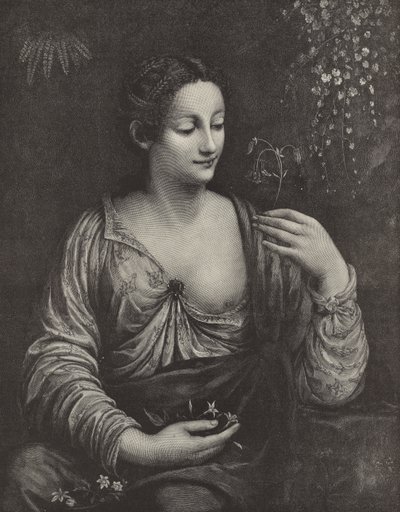 Ritratto di una giovane donna da English School