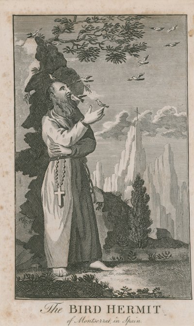 Ritratto dell
