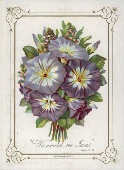 Mazzo di fiori da English School