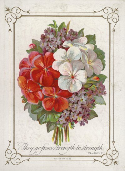 Mazzo di fiori da English School