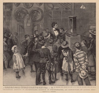 Lezioni pratiche di scienze elementari a Whitechapel; Una mostra di api vive da English School