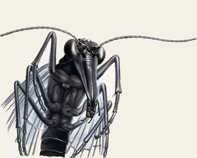 Predatori del passato da English School