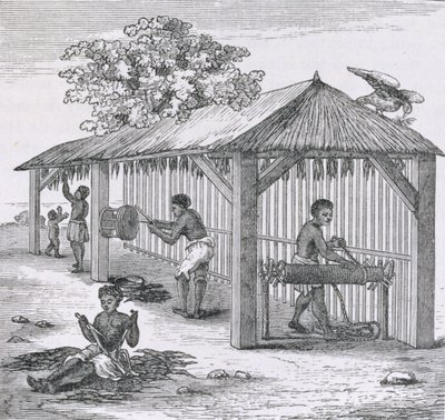 Preparazione del tabacco, da 