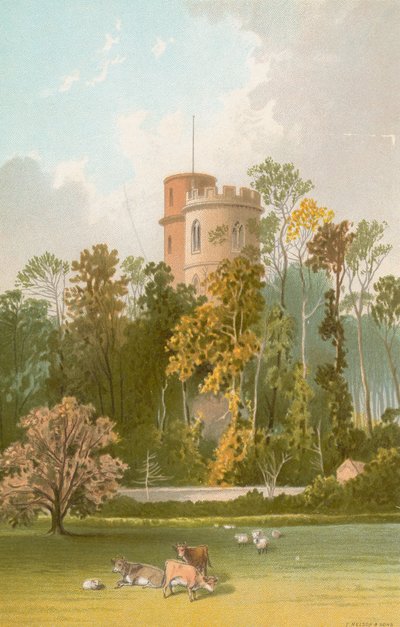 Torre dei Principi, Jersey da English School