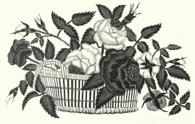 Psaligrafia, o disegno con le forbici da English School