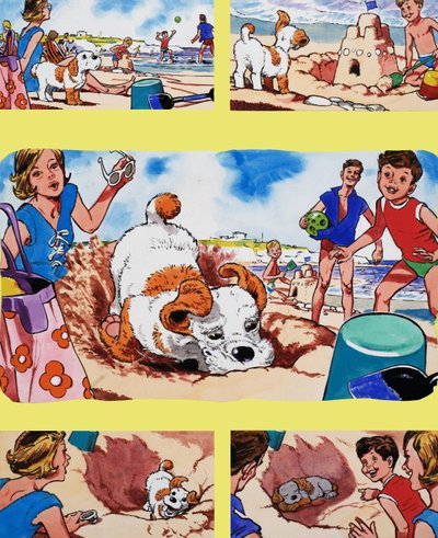 Cucciolo sulla spiaggia da English School