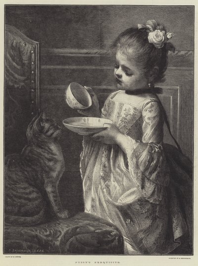Il privilegio di Pussy da English School
