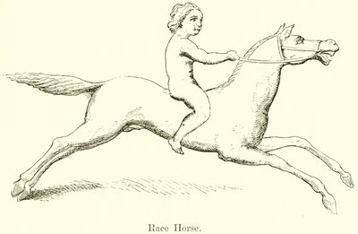 Cavallo da Corsa da English School