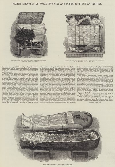 Scoperta recente di mummie reali e altre antichità egiziane da English School
