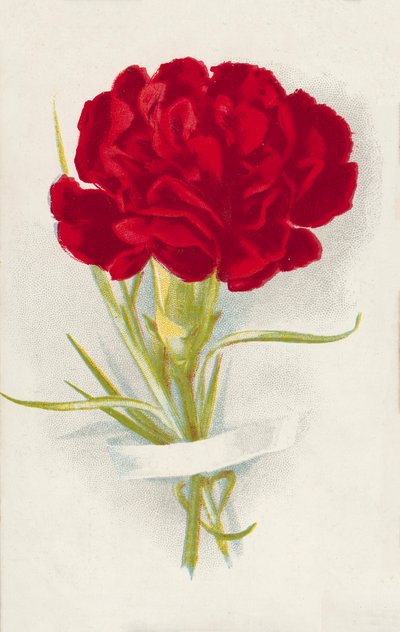 Garofano rosso (cromolito) da English School