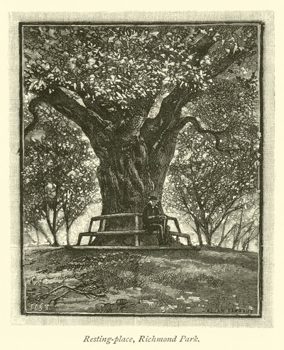 Luogo di riposo, Richmond Park da English School