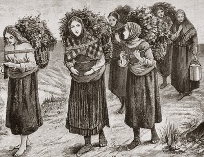 Ritorno dalla transumanza, le Ebridi c.1880, da 