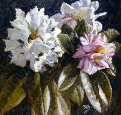 Rododendro da English School
