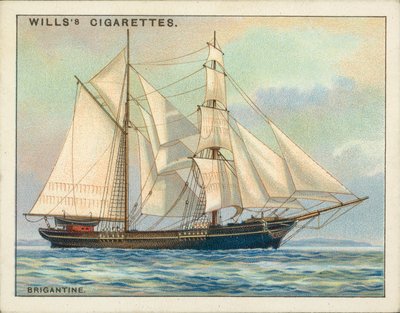 Rigs of Ships: Brigantino (litografia a colori) da English School