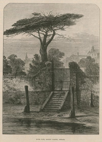 Porta del fiume del Giardino Botanico da English School