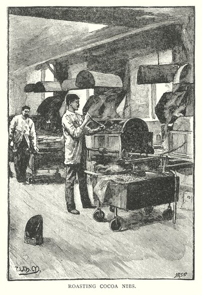 Tostatura di cacao (incisione) da English School
