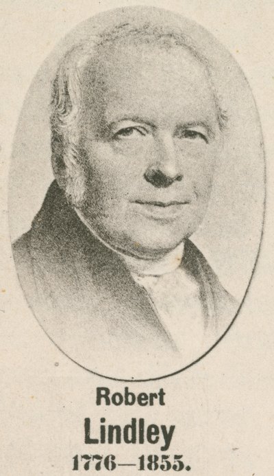 Robert Lindley da English School