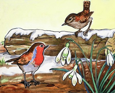 Pettirosso e Jenny Wren da English School