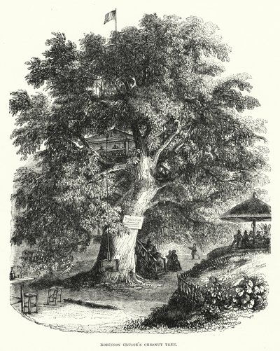 Il castagno di Robinson Crusoe da English School