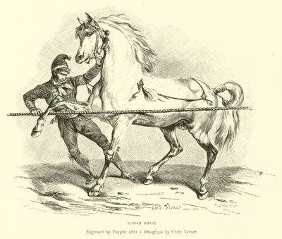 Cavallo romano da English School