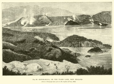 Rotomahana, o il Lago Caldo, Nuova Zelanda da English School