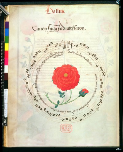 Canone, con steli circolari e rosa al centro, dai Motetti di Richard Sampson da English School